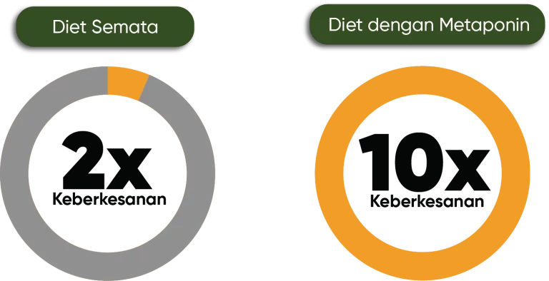 Metaponin Malaysia