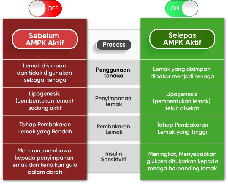 Metaponin Malaysia