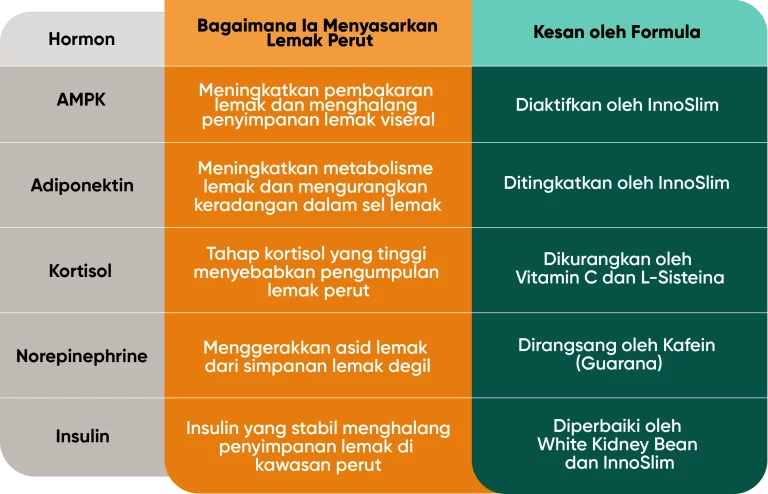 Metaponin Malaysia