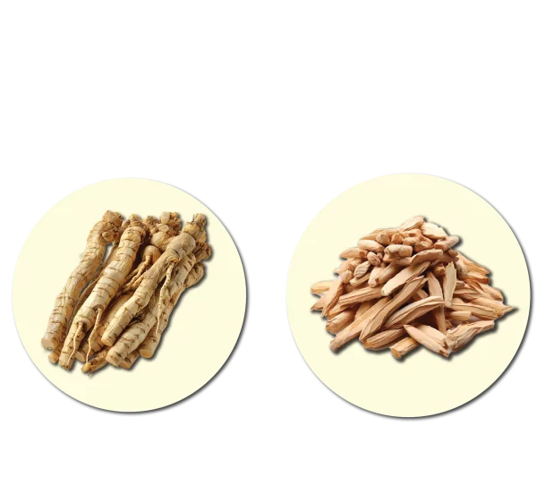 Metaponin Malaysia