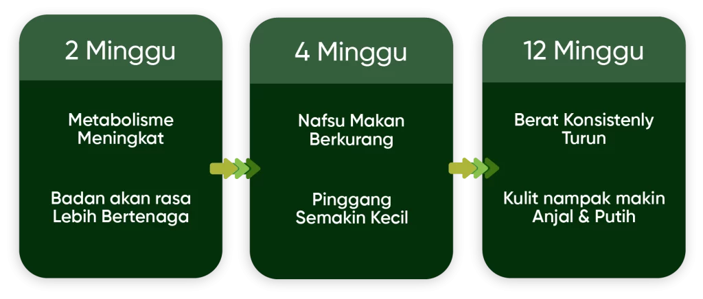 Metaponin Malaysia