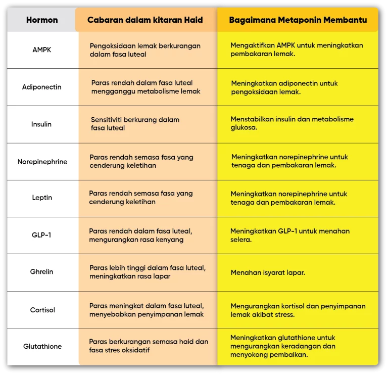 Metaponin Malaysia